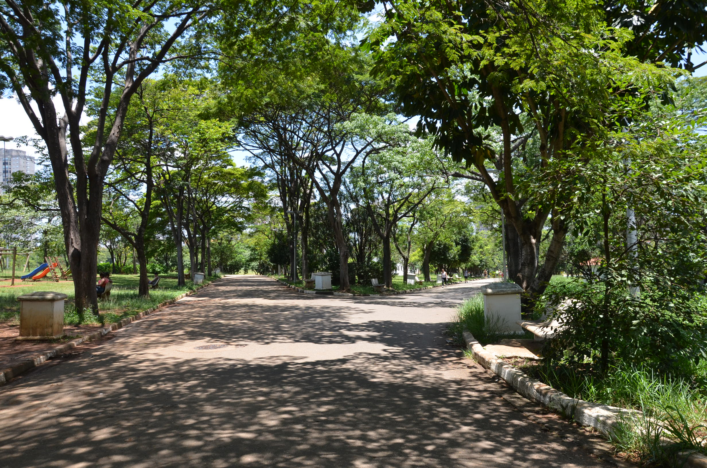 Memória viva